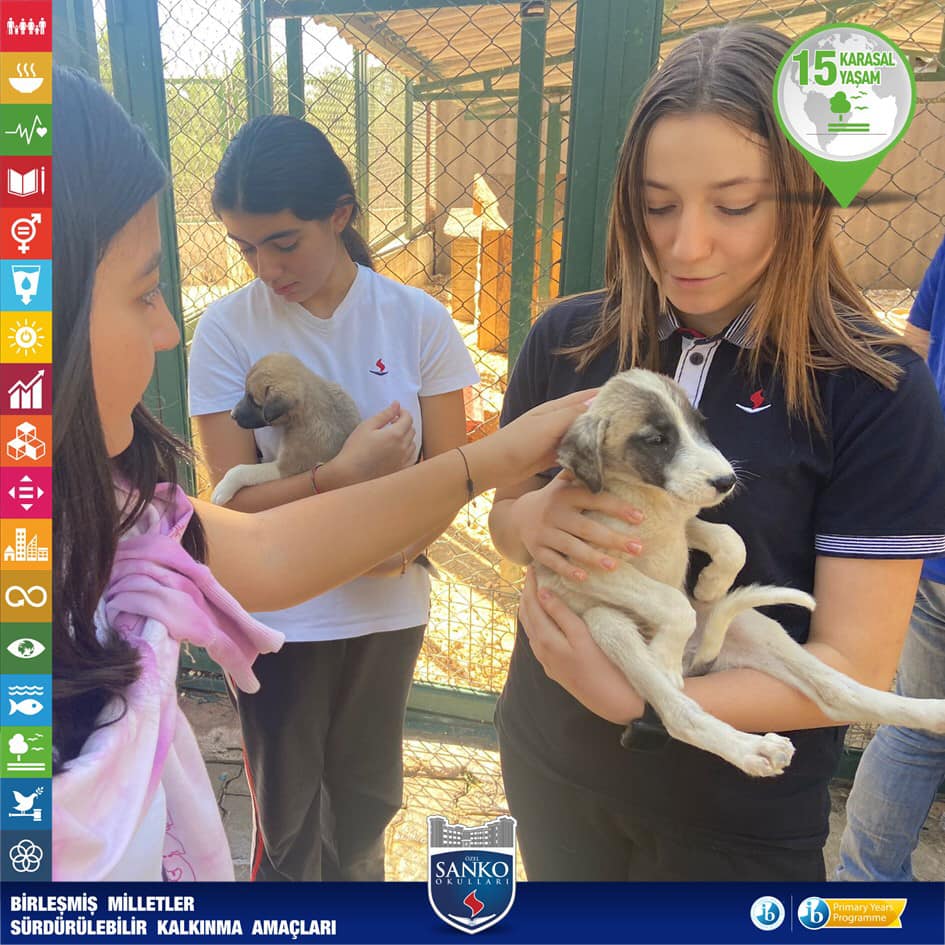 SKA 15. Maddesi Kapsamında Öğrencilerimiz Kedi ve Köpek Barınağını Ziyaret Etti